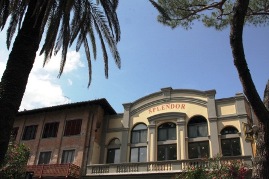 Cinema Splendor