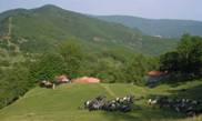La Valleriana